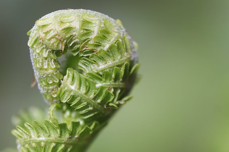 Watering schedule tips
